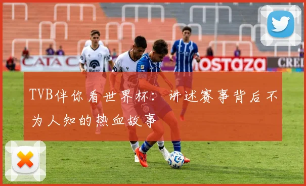 TVB伴你看世界杯：讲述赛事背后不为人知的热血故事