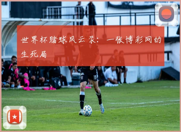 世界杯赌球风云录：一张博彩网的生死局
