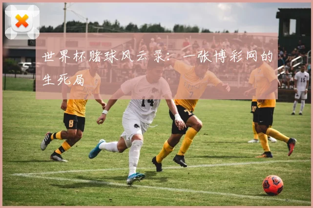 世界杯赌球风云录：一张博彩网的生死局