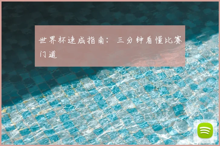 世界杯速成指南：三分钟看懂比赛门道