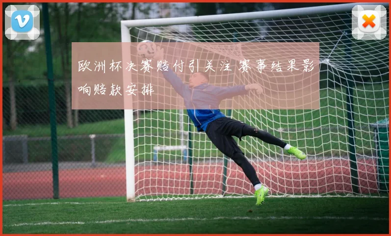 欧洲杯决赛赔付引关注 赛事结果影响赔款安排