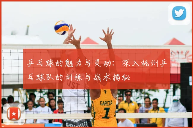 乒乓球的魅力与灵动:深入杭州乒乓球队的训练与战术揭秘