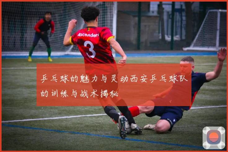 乒乓球的魅力与灵动西安乒乓球队的训练与战术揭秘