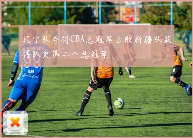 辽宁队夺得CBA总冠军击败新疆队获得队史第二个总冠军