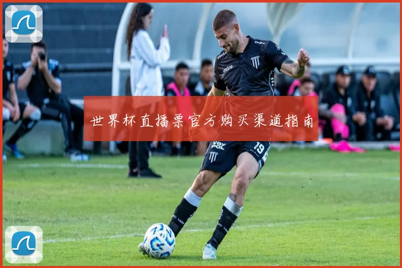 世界杯直播票官方购买渠道指南