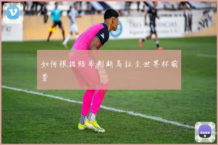 如何根据赔率判断乌拉圭世界杯前景