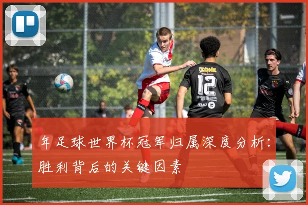年足球世界杯冠军归属深度分析：胜利背后的关键因素
